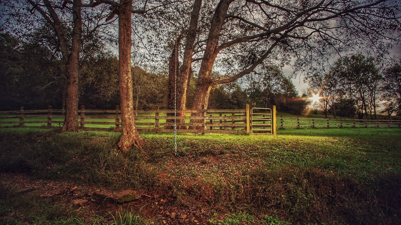 Photo of Outdoor in Hendersonville