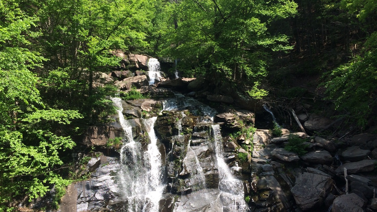 Photo of Others in Lanesville