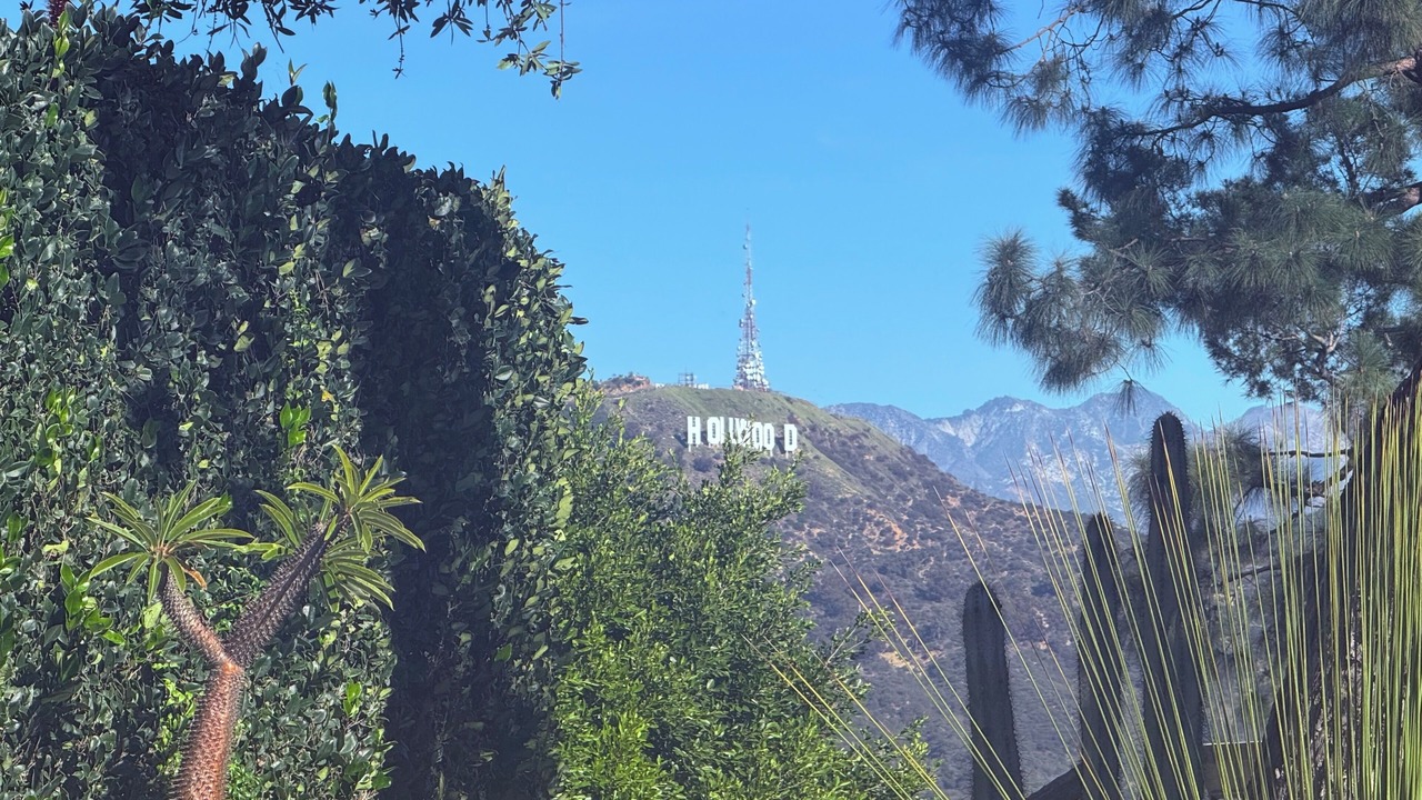Photo of Others in Hollywood Hills