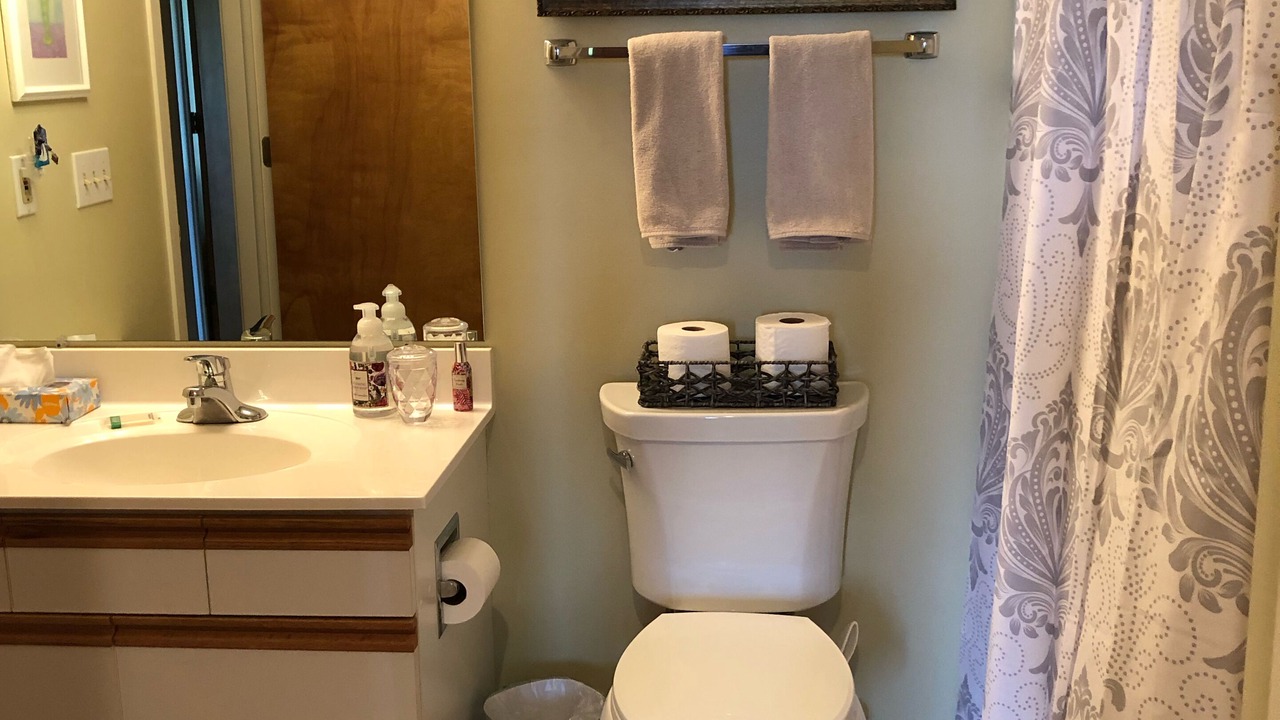 Photo of Bathroom in Harbor Springs