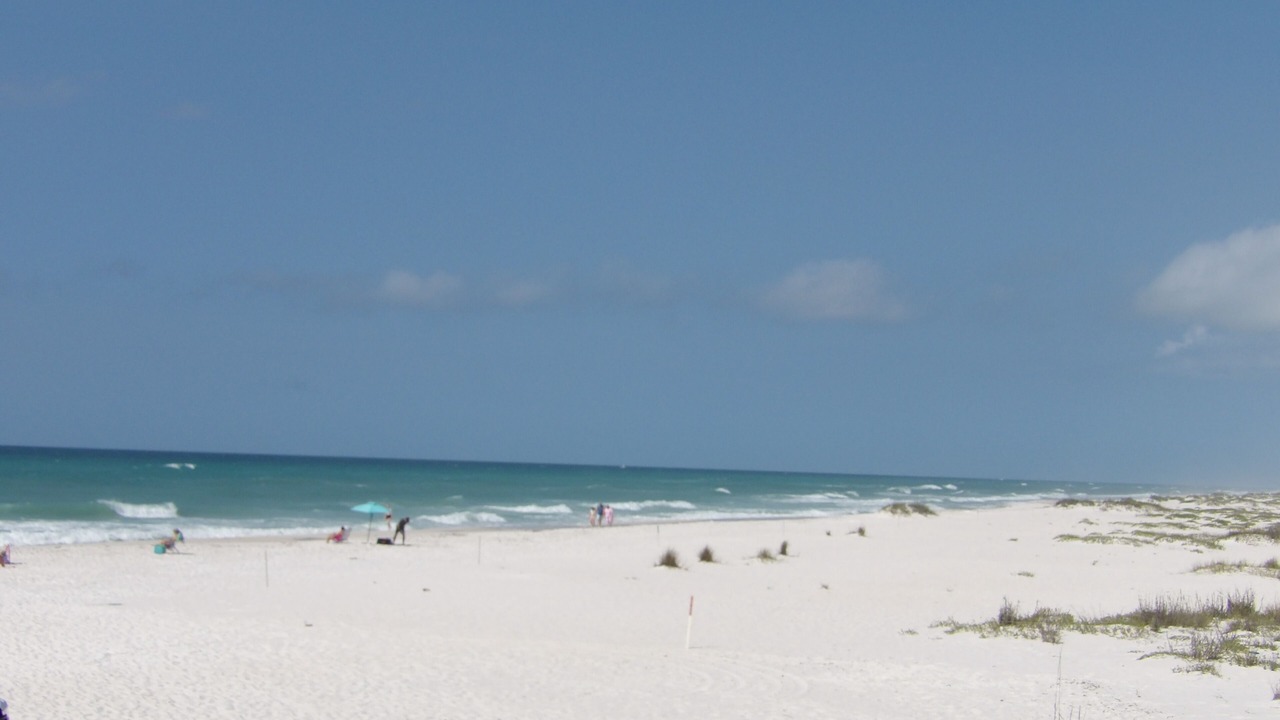 Photo of Others in West Pensacola