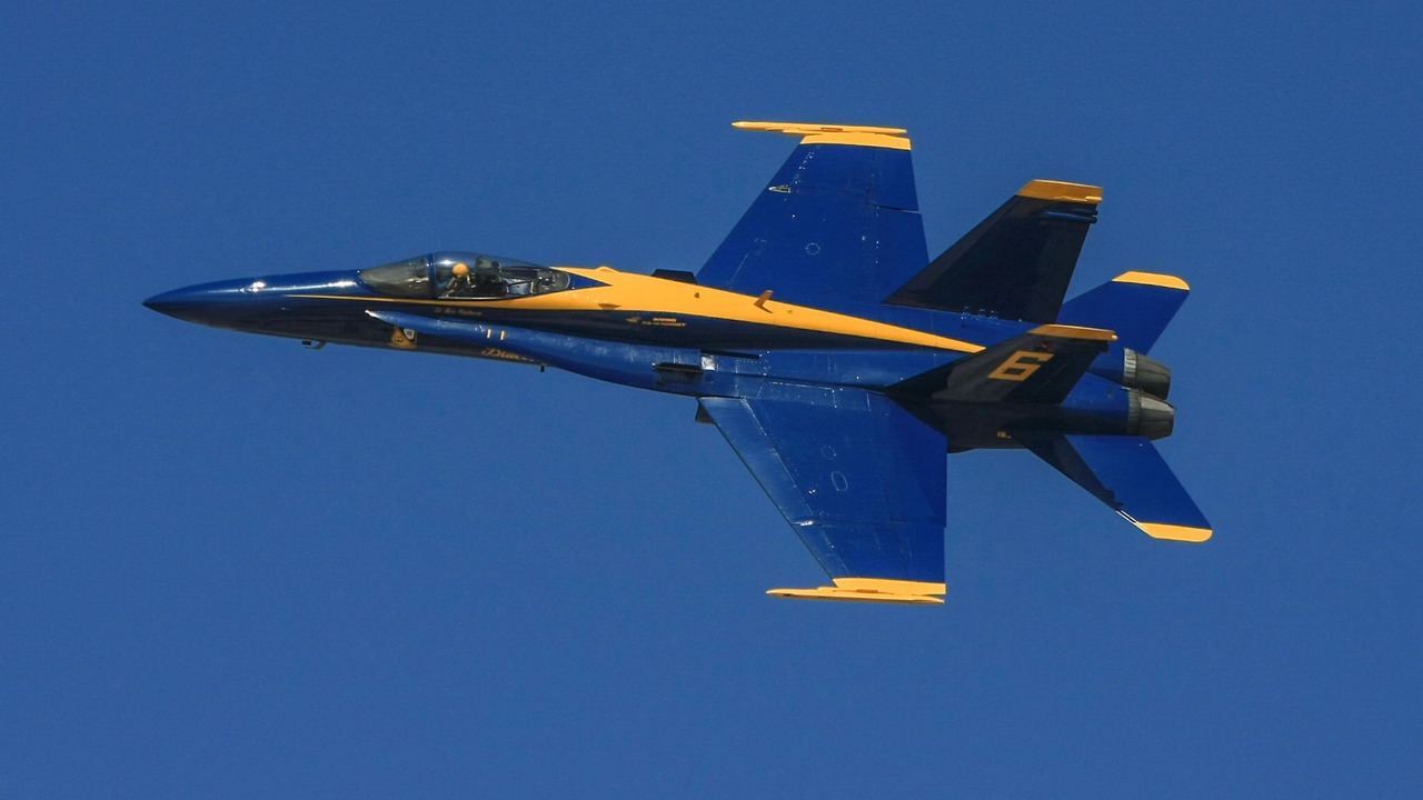 Photo of Others in Pensacola