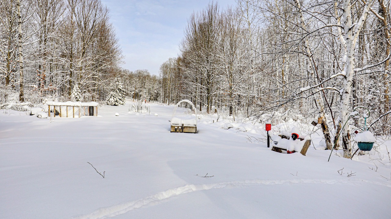 Photo of Others in Iron River