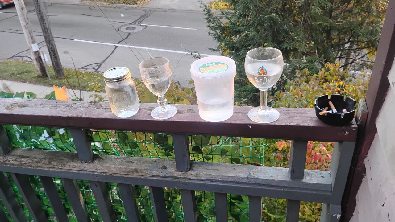 Photo of Others in Vine