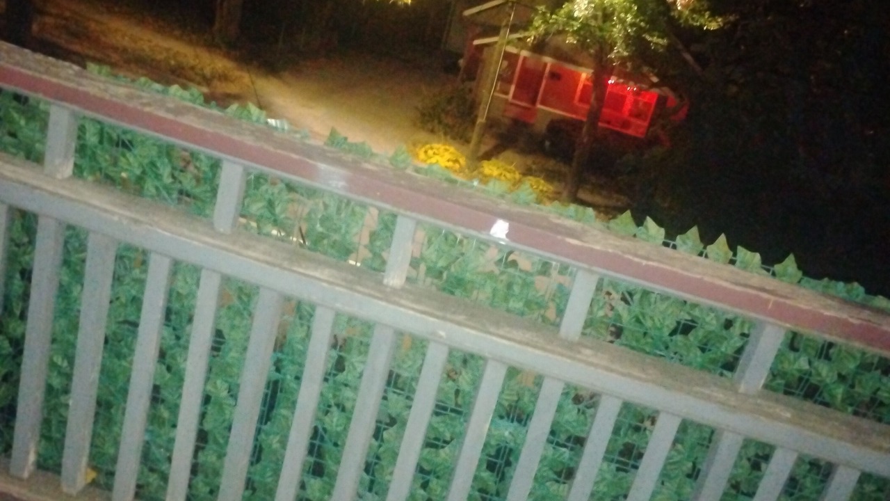 Photo of Outdoor in Vine