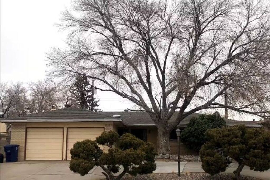 Photo of Outdoor in Osuna Park Inc