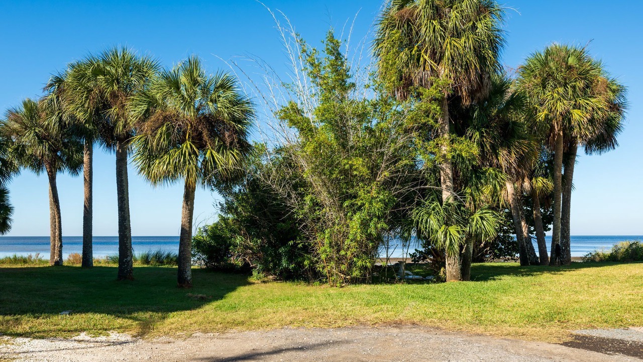 Photo of Others in Pine Island