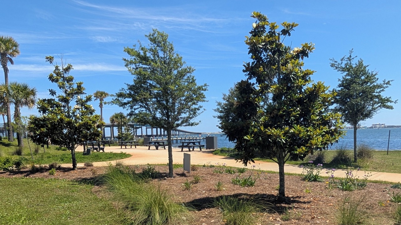 Photo of Outdoor in Navarre