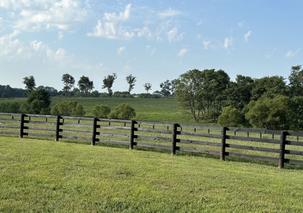 Photo of Outdoor in Rutland
