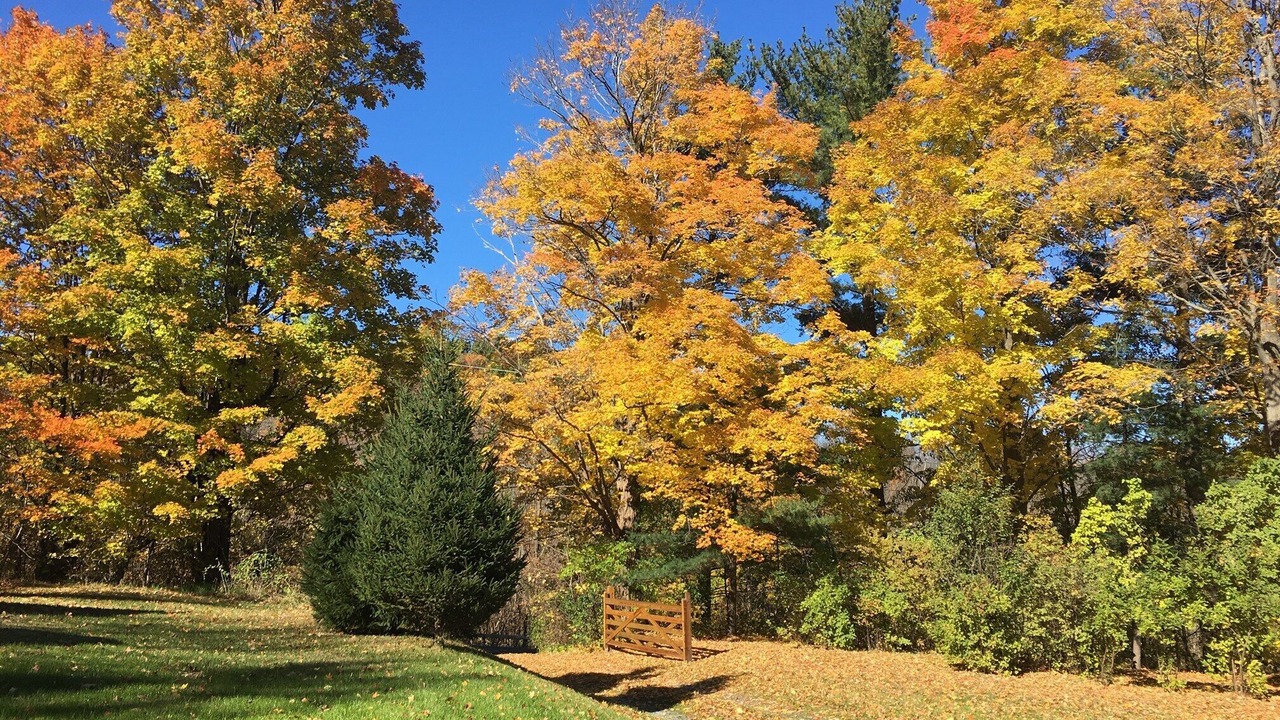 Photo of Outdoor in Bristol Hills