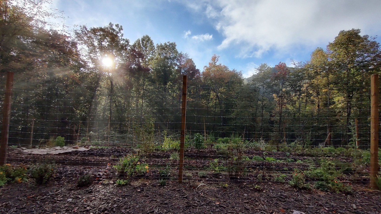 Photo of Outdoor in Brevard