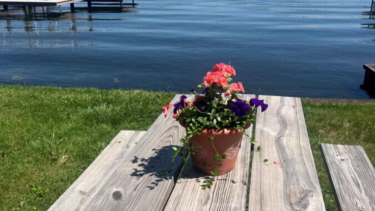 Photo of Others in Paw Paw Lake