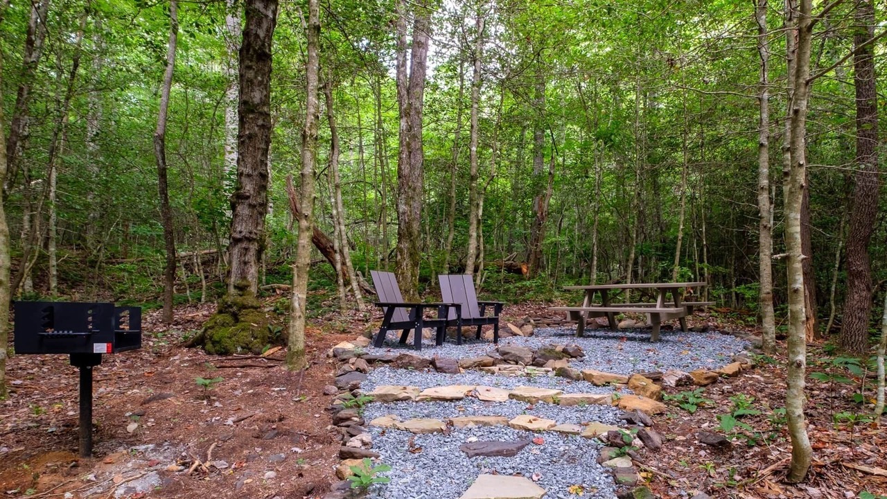 Photo of Others in Balsam Grove