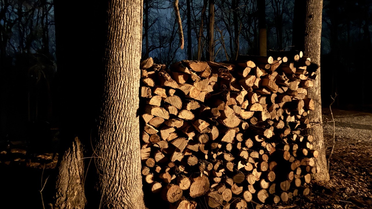 Photo of Outdoor in Carbondale