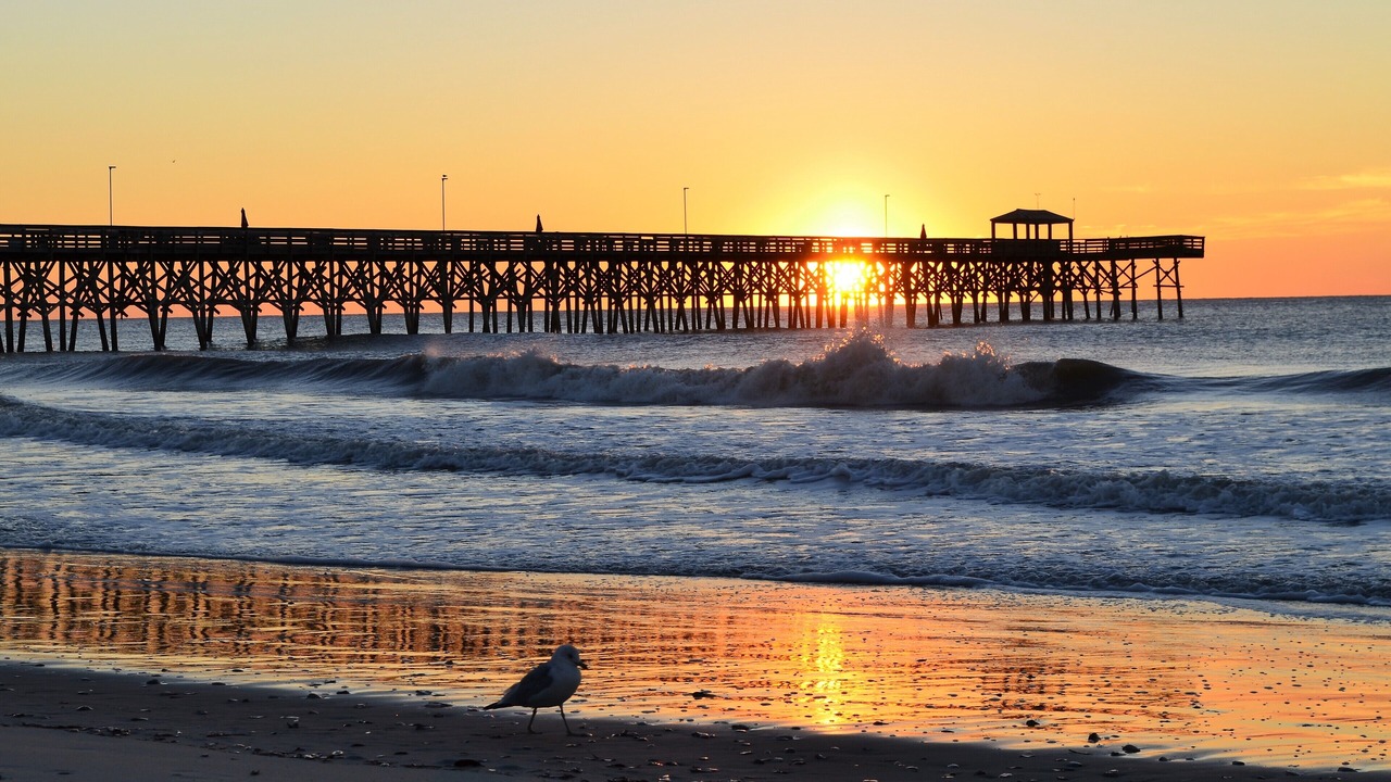 Photo of Others in Downtown Myrtle Beach
