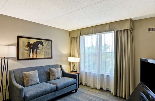 Lexington Hotel | An Accommodation for Family or Fur Parents | Free Breakfast & On-Site Parking